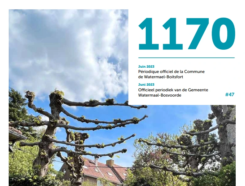 Watermael-Boitsfort Oyas