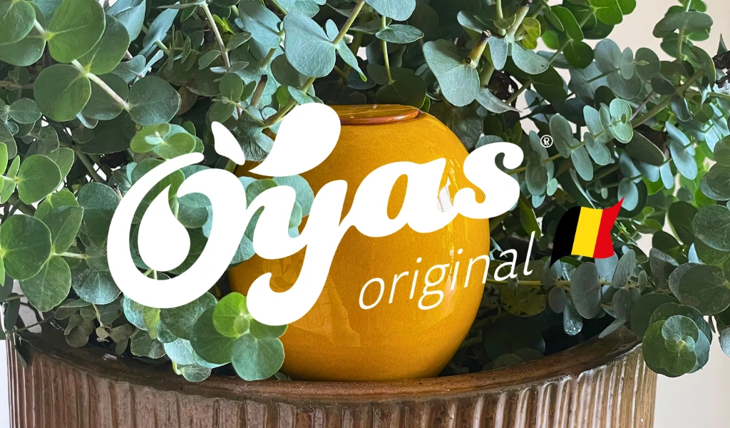 Oyas Belgique