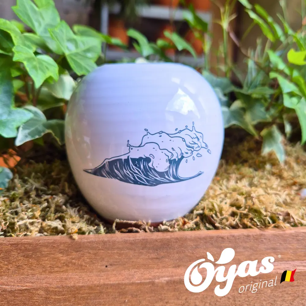 APS Décorés (Vague)